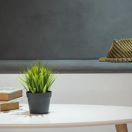 Tia Maria Is Situated In The Southern Part Of The Sunny 3* Slantchev Briag